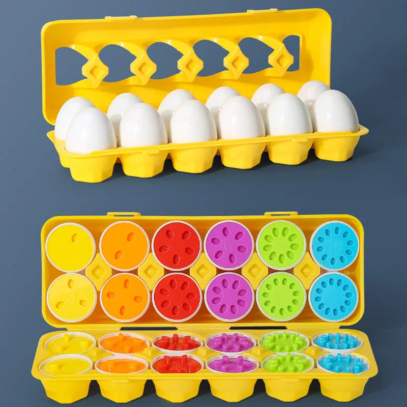 Toy Montessori ™ - Montessori Eggs Toys