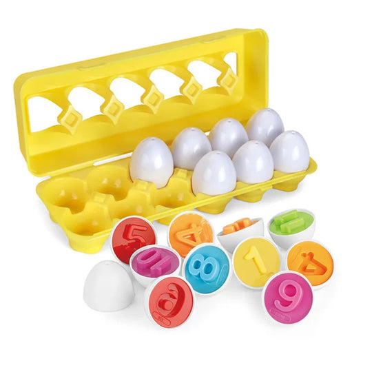 Toy Montessori ™ - Montessori Eggs Toys