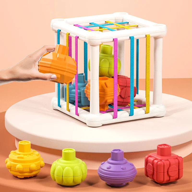 Toy Montessori ™ - Sensory Bin